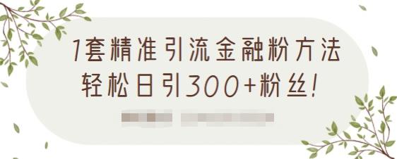 1套精准引流金融粉方法，轻松日引300 粉丝【视频课程】-有渔有礼
