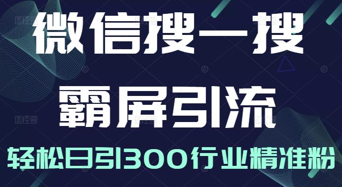 微信搜一搜霸屏引流课，打造被动精准引流系统，轻松日引300行业精准粉【无水印】-有渔有礼