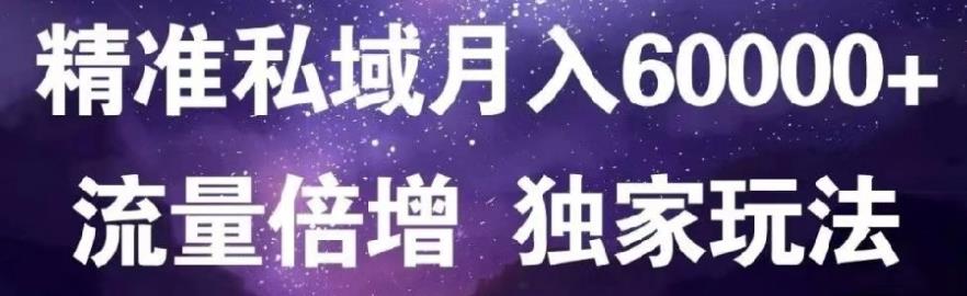 原力网赚精准私域月入60000 ,流量倍增独家玩法-有渔有礼