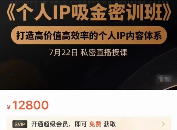 个人IP吸金密训班，打造高价值高效率的个人IP内容体系（价值12800元）-有渔有礼