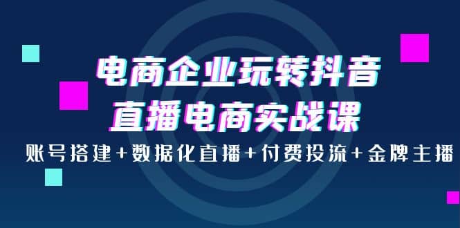 电商企业玩转抖音直播电商实战课：账号搭建 数据化直播 付费投流 金牌主播-有渔有礼