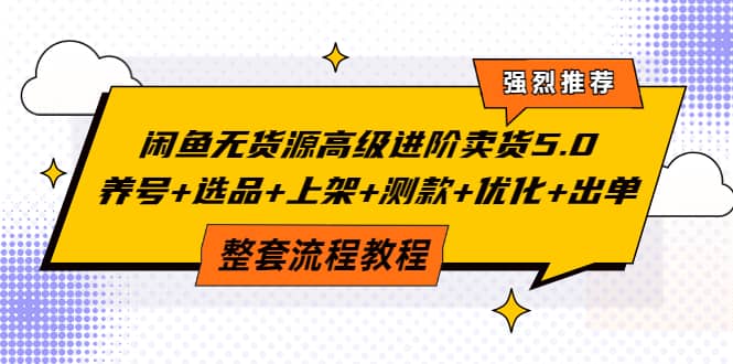 闲鱼无货源高级进阶卖货5.0，养号 选品 上架 测款 优化 出单整套流程教程-有渔有礼