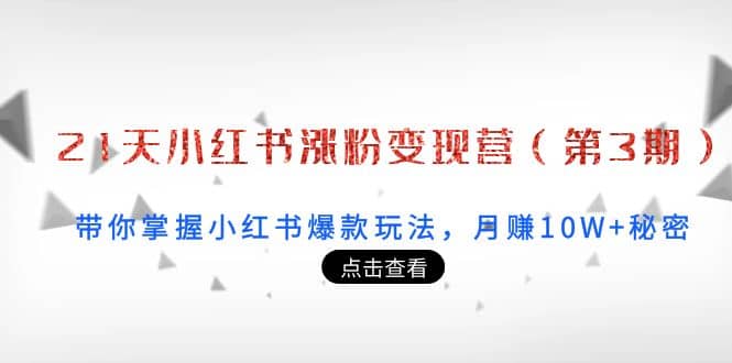 21天小红书涨粉变现营（第3期）：带你掌握小红书爆款玩法，月赚10W 秘密-有渔有礼