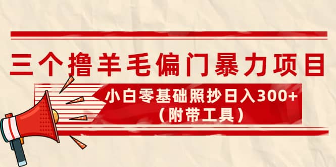 外面卖998的三个撸羊毛项目，小白零基础照抄（附带工具）-有渔有礼