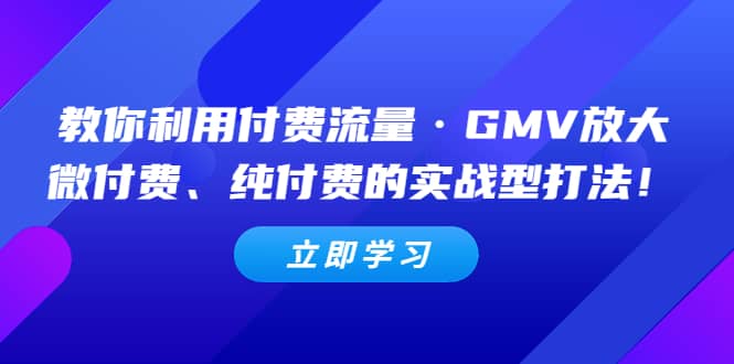 教你利用付费流量·GMV放大，微付费、纯付费的实战型打法-有渔有礼