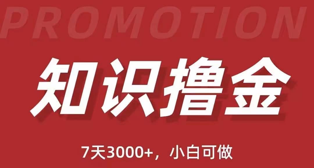 抖音知识撸金项目：执行力强当天见收益(教程 资料)-有渔有礼