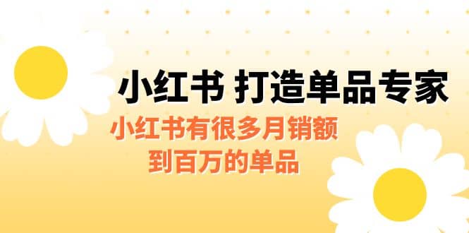 某公众号付费文章《小红书 打造单品专家》小红书有很多月销额到百万的单品-有渔有礼