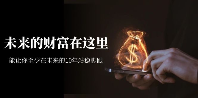 某收费文章《未来的财富在这里》能让你至少在未来的10年站稳脚跟-有渔有礼