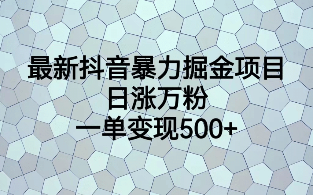 最火热的抖音暴力掘金项目，日涨万粉，多种变现方式，一单变现可达500-有渔有礼