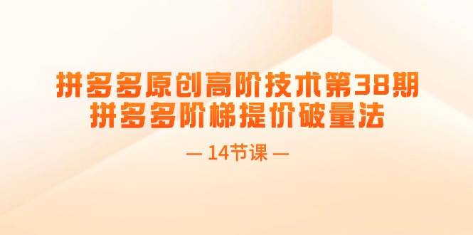 拼多多原创高阶技术第38期，拼多多阶梯提价破量法（14节课）-有渔有礼