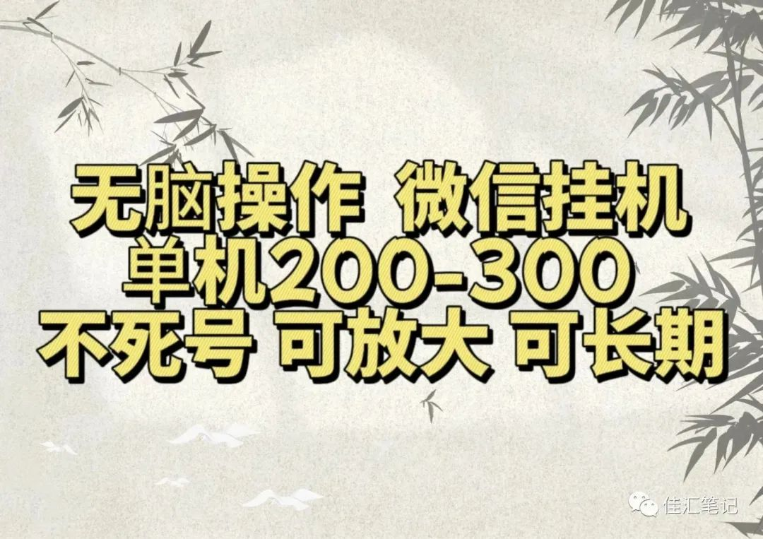 无脑操作微信视频号挂机单机200-300一天，不死号，可放大，工作室实测-有渔有礼