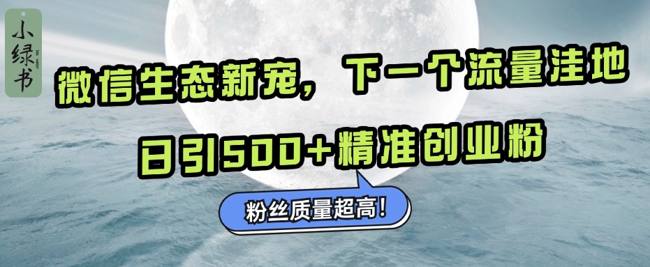 微信生态新宠小绿书：下一个流量洼地，粉丝质量超高，日引500+精准创业粉，-有渔有礼