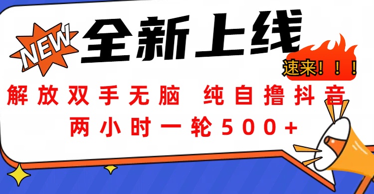 解放双手无脑 纯自撸抖音 两小时一轮500+-有渔有礼