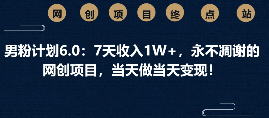 男粉计划6.0：7天收入1W+，永不凋谢的网创项目，当天做当天变现！-有渔有礼