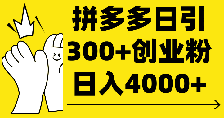 拼多多日引300+创业粉 日入4000+-有渔有礼