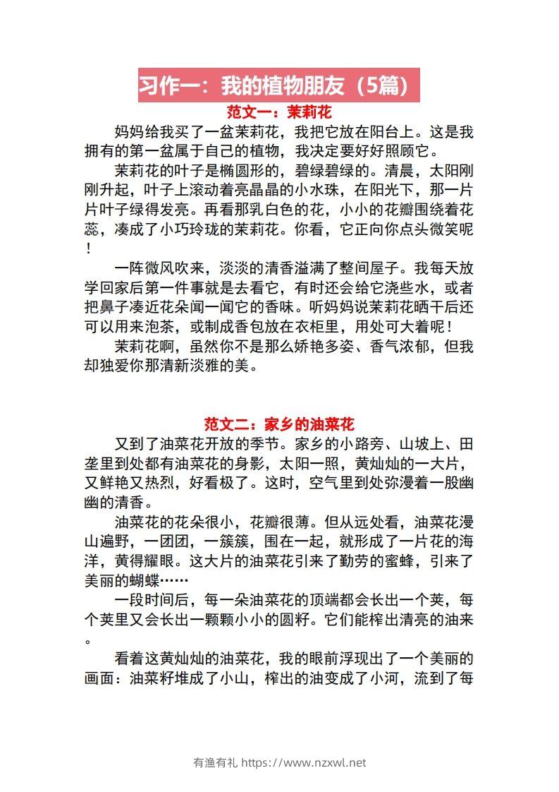 三年级语文下册1-8单元作文范文-有渔有礼