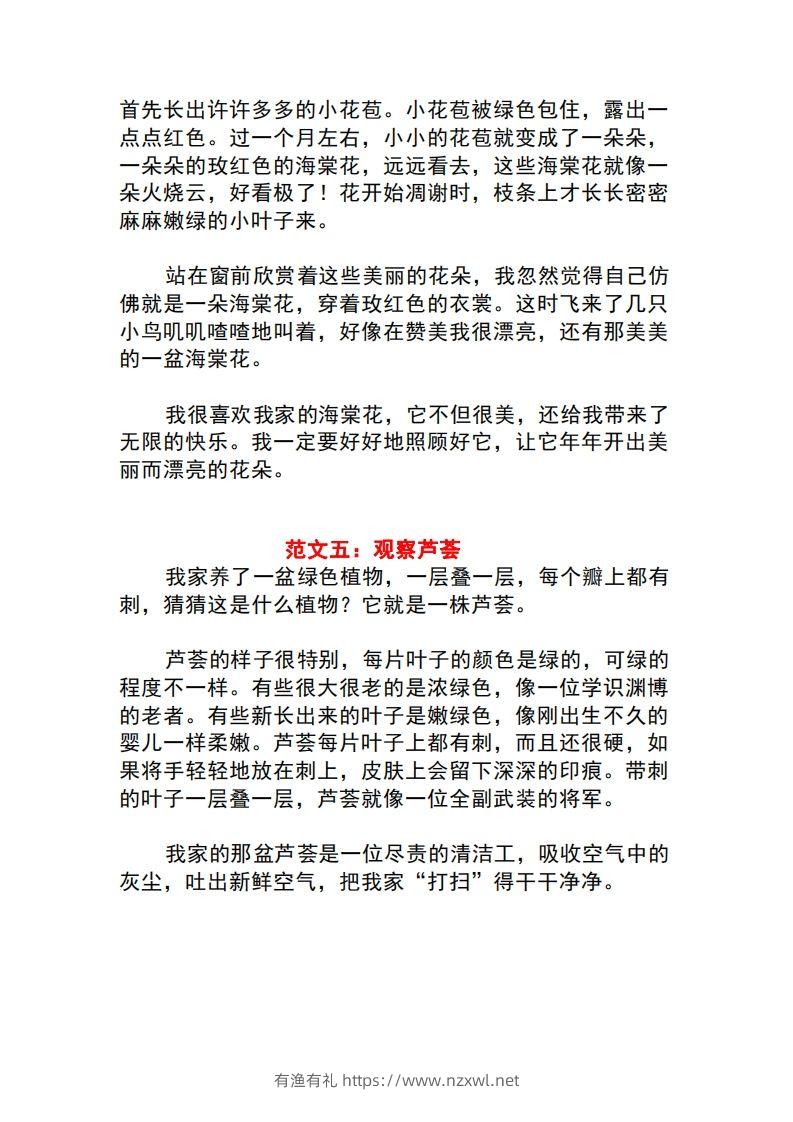 图片[3]-三年级语文下册1-8单元作文范文-有渔有礼