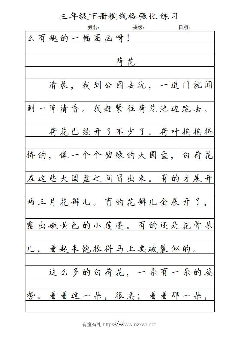 图片[3]-三年级语文下册横线格（部编版）-有渔有礼