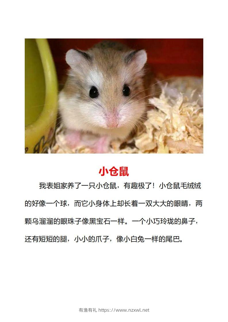 图片[2]-二年级上册语文口语交际一“有趣的动物”指导及范文-有渔有礼