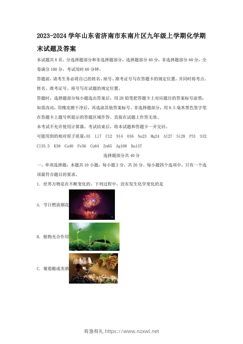 2023-2024学年山东省济南市东南片区九年级上学期化学期末试题及答案(Word版)-有渔有礼