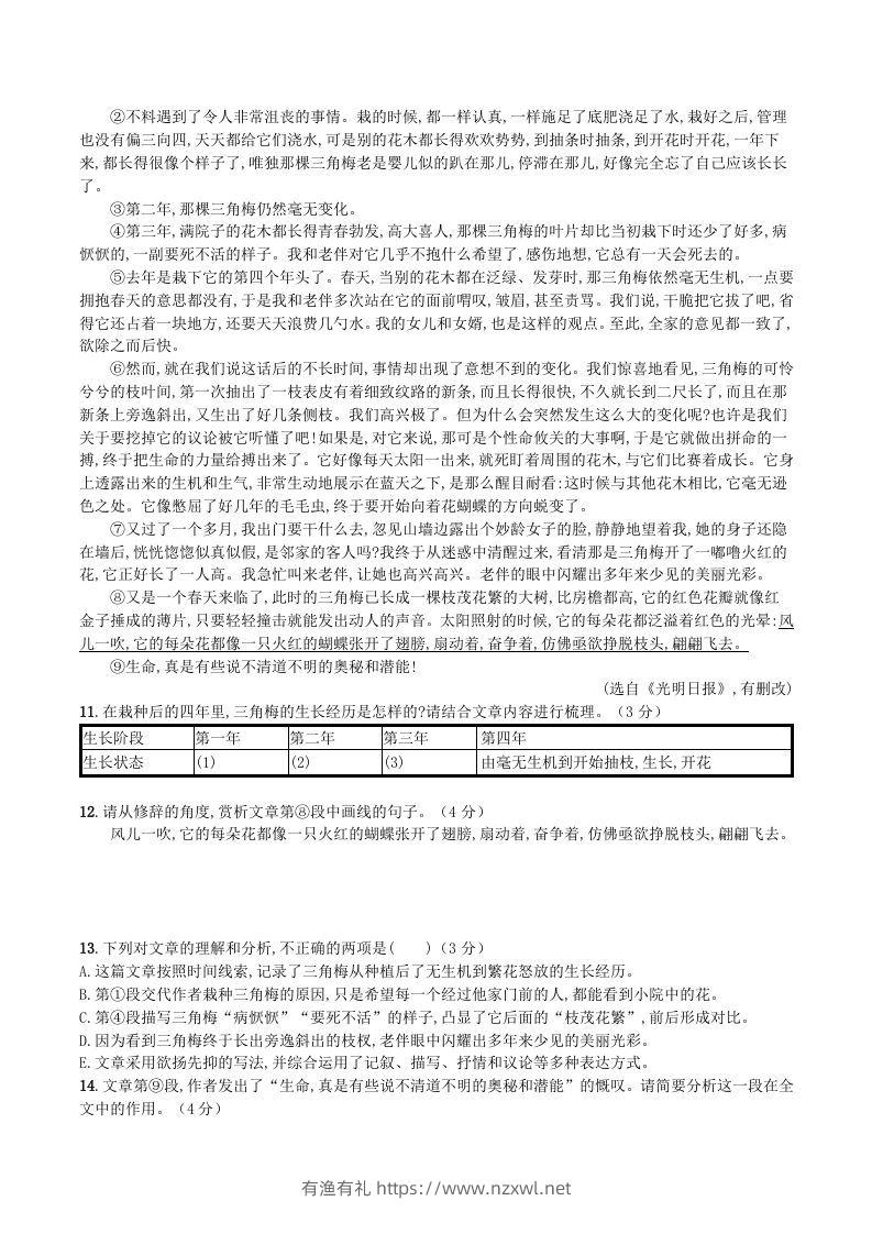 图片[3]-2023-2024学年统编版八年级语文上册第四单元测试题及答案(Word版)-有渔有礼