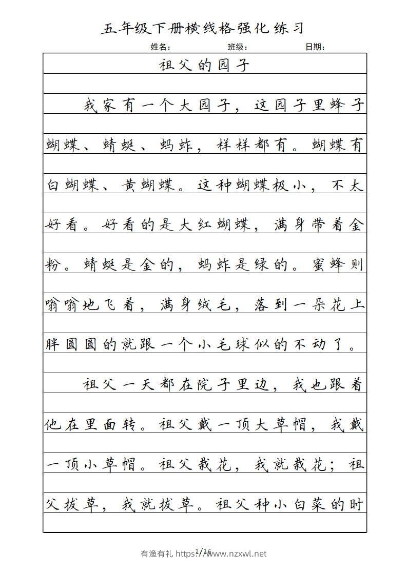 五年级语文下册横线格（部编版）-有渔有礼