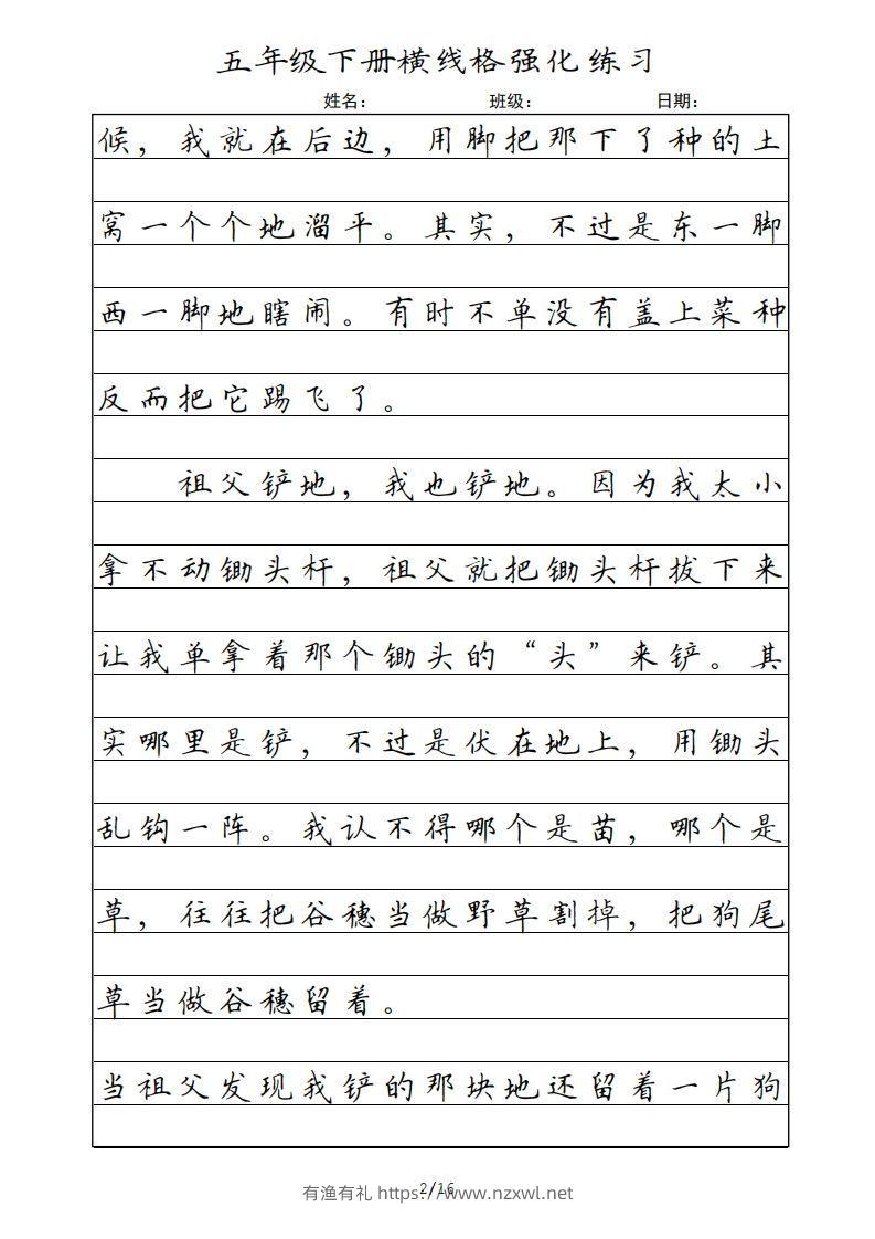 图片[2]-五年级语文下册横线格（部编版）-有渔有礼