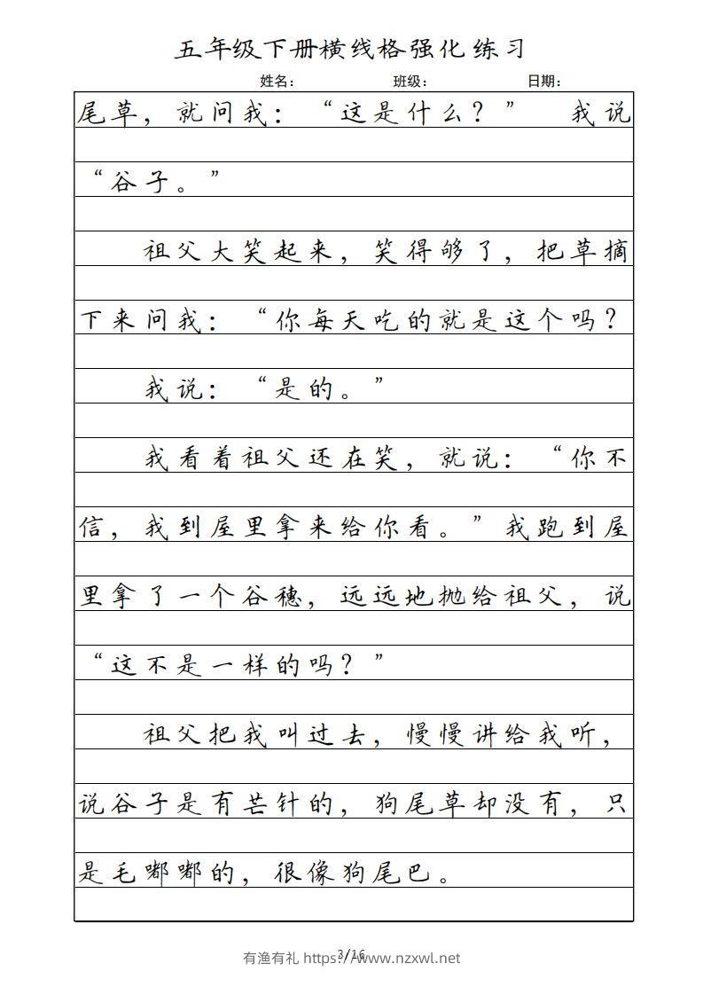 图片[3]-五年级语文下册横线格（部编版）-有渔有礼