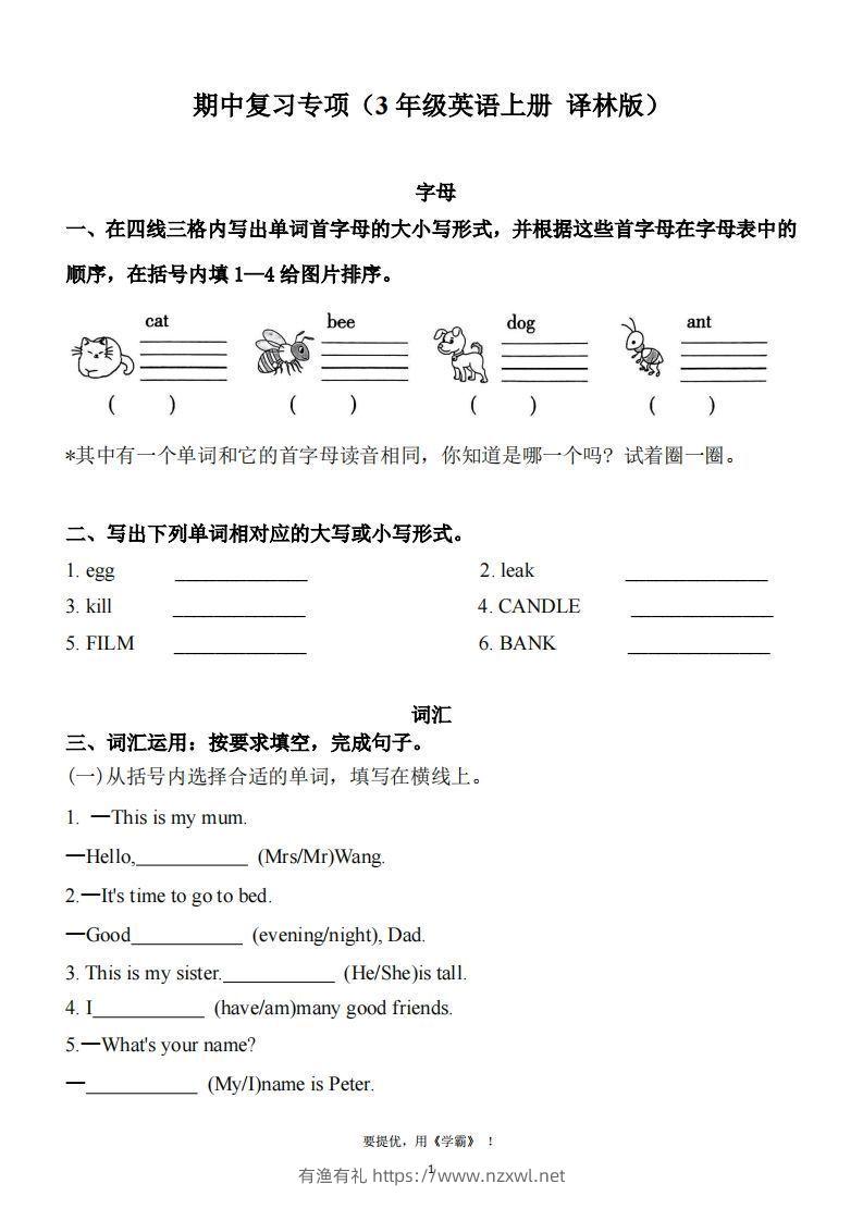 期中复习专项（三上英语译林版）-有渔有礼