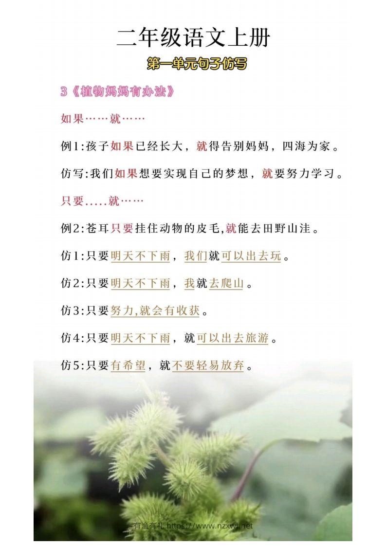 图片[3]-二年级上册语文第一单元句子仿写-有渔有礼