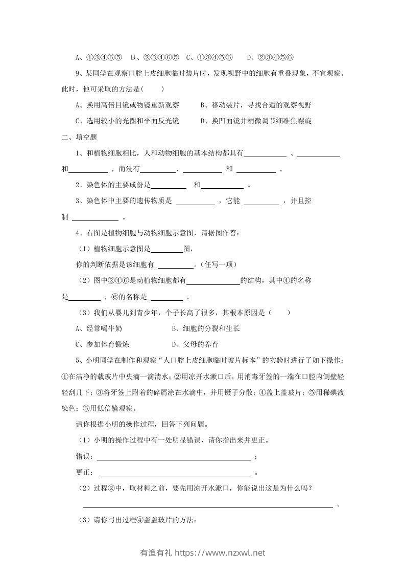 图片[2]-七年级上册生物第二单元第一章第三节试卷及答案(Word版)-有渔有礼