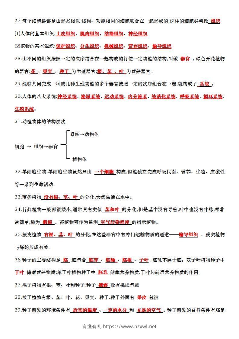 图片[3]-七上生物全册知识点填空72题（答案）-有渔有礼