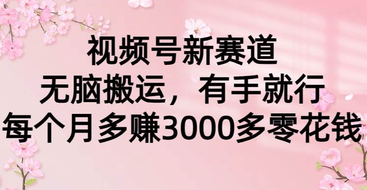 视频号新赛道，无脑搬运，有手就行，每个月多赚3000多零花钱-有渔有礼