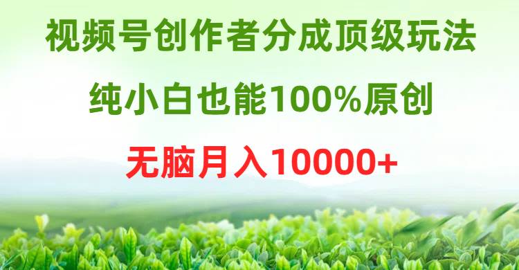 视频号创作者分成顶级玩法，纯小白也能100%原创，无脑月入10000+-有渔有礼
