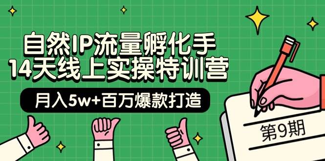 自然IP流量孵化手 14天线上实操特训营【第9期】月入5w+百万爆款打造 (74节)-有渔有礼