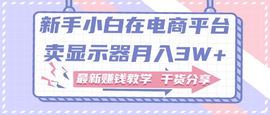 新手小白如何做到在电商平台卖显示器月入3W+，最新赚钱教学干货分享-有渔有礼