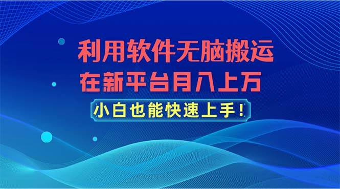 利用软件无脑搬运，在新平台月入上万，小白也能快速上手-有渔有礼